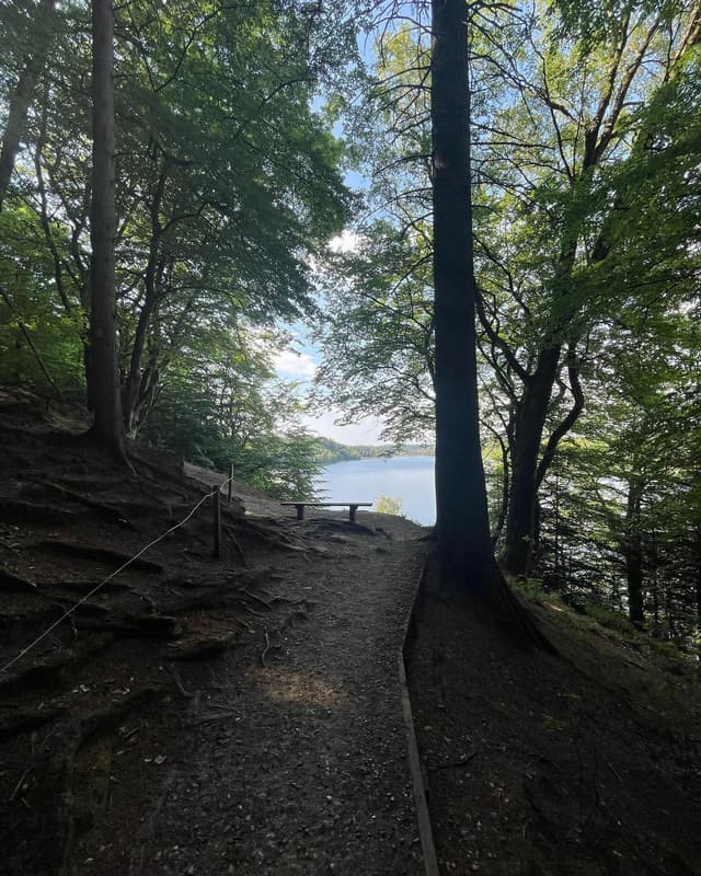 skov